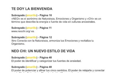 Transforma la Ansiedad en Energía Productiva: Guía Práctica